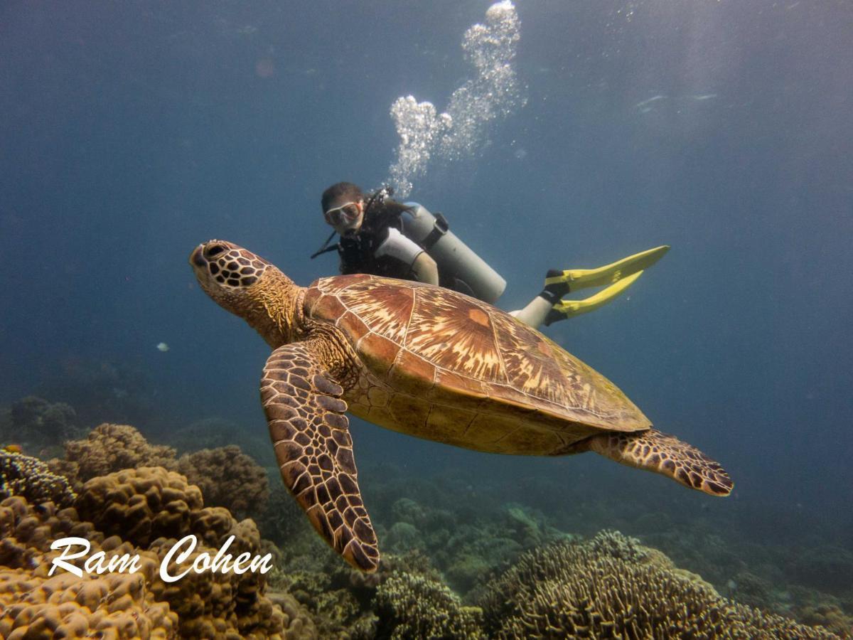 Lavanya Beach And Dive Resort Zamboanguita  Esterno foto